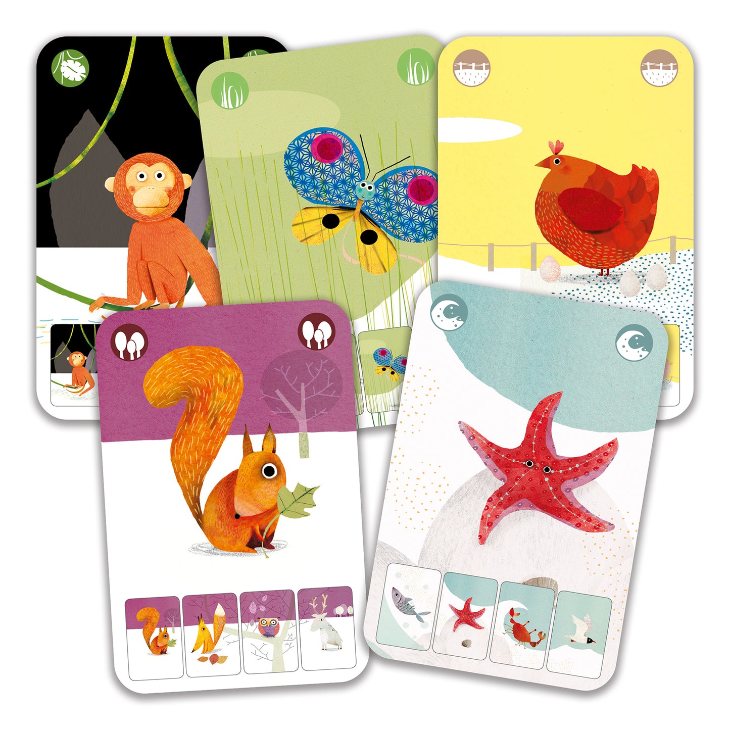 Mini Nature Djeco - cartes
