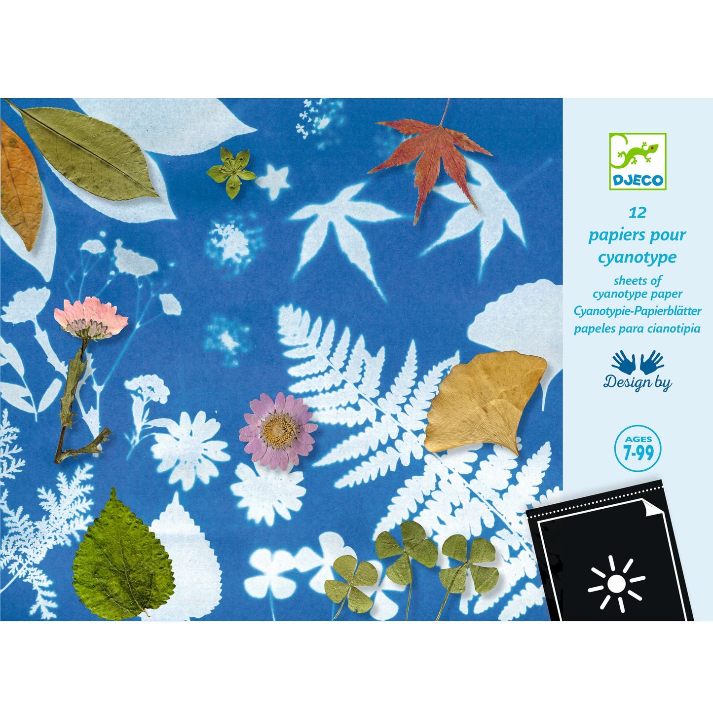 Papier cyanotype Djeco - pochette